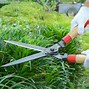 Image result for Yard Tools