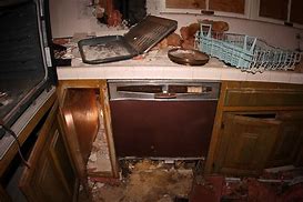 Image result for Small Industrial Dishwasher