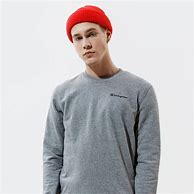 Image result for Gray Champion Hoodie
