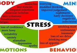 Image result for Effects of Stress On Body Diagram