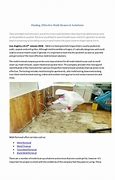 Image result for Mold Removal Solutions