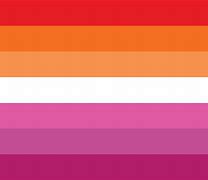 Image result for Orange White and Pink Pride Flag