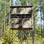 Image result for Deer Stand Top