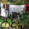 Image result for Hang Clothes to Dry
