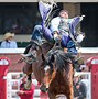 Image result for Calgary Stampede Rodeo