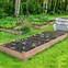 Image result for Garden In A Box Cedar Raised Bed, 8' X 12'