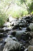 Image result for Neffs Canyon