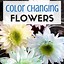 Image result for Flower Experiment