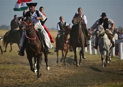 Image result for Hungarian Celebrities