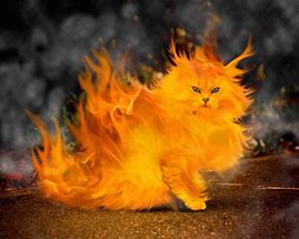 Image result for Cat Book Fan Art Die in a Fire