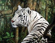 Image result for White Tiger Painting