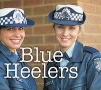 Image result for Blue Heelers TV Show