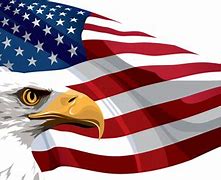 Image result for American Flag Logos Free