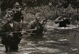Image result for Montagnards Vietnam Special Forces