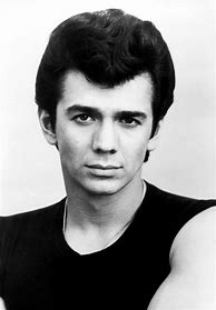Image result for Adrian Zmed Actor Young