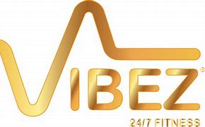Image result for Vibez Logo YT