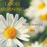 Image result for Good Morning Beautiful I Hope Your Day