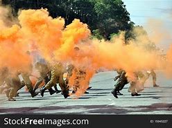 Image result for British Free Corps