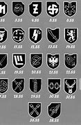 Image result for Waffen SS Panzer Divisions