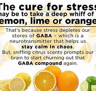 Image result for Stress Relief Love