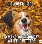 Image result for See You On Monday Meme