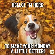 Image result for Happy Monday Animal Meme