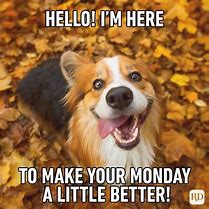 Image result for Happy Monday Sarcastic Meme