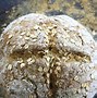 Image result for Authentic Irish Soda Bread