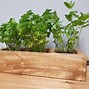 Image result for Window Sill Herb Planter Boxes Indoor