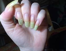 Image result for Long Nails Cut