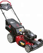 Image result for Gas Self Propelled Lawnmower