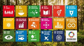 Bildresultat för FN:s hållbarhetsmål 