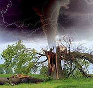 Image result for Tornado Destroying