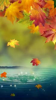 Image result for HD Wallpapers 1080X1920 Autumn