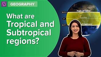 Image result for Tropical vs Subtropical