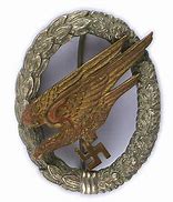 Image result for German Paratrooper Badge
