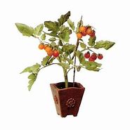 Image result for Artificial Tomato Plant