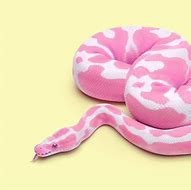Image result for Cute Snake Wallpaper