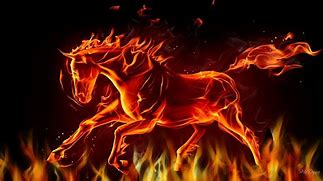 Image result for Fire Tablet Horses Wallpapers