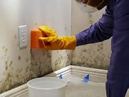 Image result for Cleaning Mold On Bathroom Walls