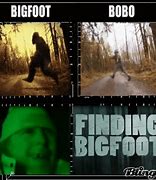 Image result for Bobo From Finding Bigfoot