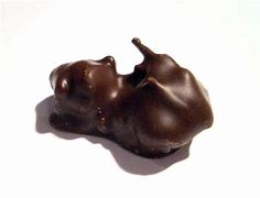 Image result for Chocolate Covered Ants