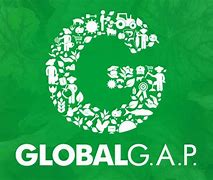 Bildergebnis für wie sieht das global gap logo aus