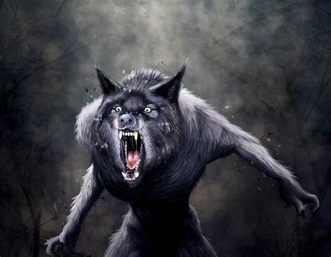 difference between a Lycan and Werewolf