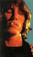 Image result for Roger Waters Live