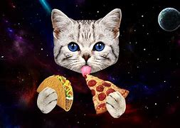 Image result for Space Taco Cat