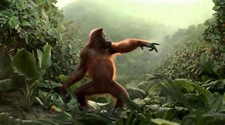 Image result for Dancing Monkey Meme