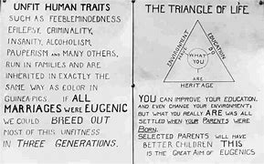 Image result for American Eugenics