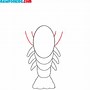 Image result for Lobster Drawing Diagram