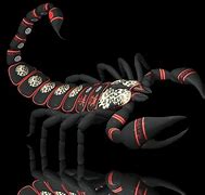 Image result for 3D Scorpion Wallpapers for Desktop
